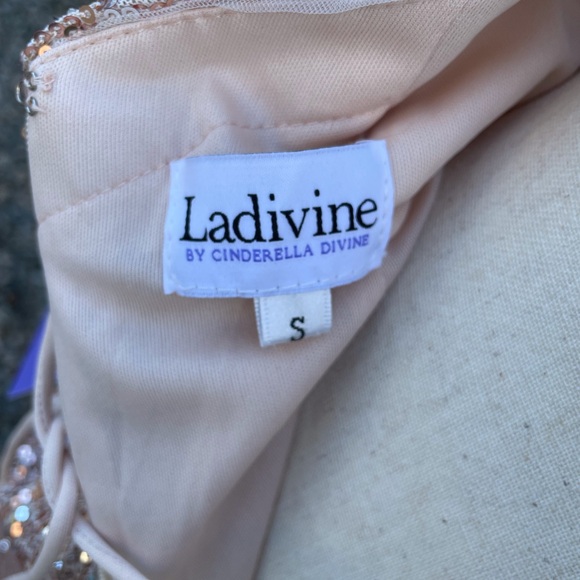**Cinderella Divine: Enchanting Embroidered Sequined Dress for Unforgettable Occasions**
